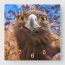 Search for eagle eyes art Bird of prey