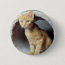 Search for veterinarian badges Pets