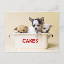 Search for chihuahua puppies postcards Puppy