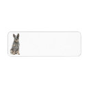 Search for cattle dog return address labels Animal