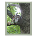Search for nut with squirrel posters Tree