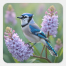 Search for blue jay stickers Purple