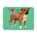 Search for staffies magnets Heart