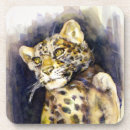 Search for leopard paintings coasters Watercolor