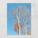 Search for barrenness postcards Trees