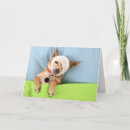 Search for pedigree cards Purebred