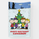 Search for charlie brown banners Character