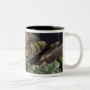 Search for treefrog mugs Animal