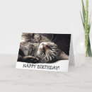 Search for cute tiger birthday cards Funny