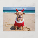 Search for florida christmas postcards Beach