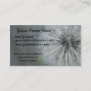 Search for seed business cards Flower