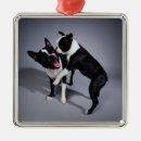 Search for boston christmas tree decorations Fun