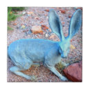 Search for blue rabbit tiles Bunny