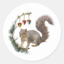 Search for conifer stickers Xmas