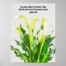 Search for calla art Flower