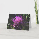 Search for thistle cards Flower