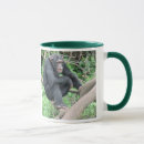 Search for chimp mugs Africa