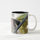 Search for precious mugs Gandalf