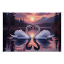 Search for swan love posters Serene nature