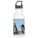 Search for the penguin water bottles Animals