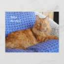 Search for marmalade postcards Orange