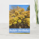 Search for maple tree Minimalist