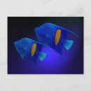 Search for fisch postcards Blau