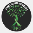Search for kidney disease ribbon stickers Hope