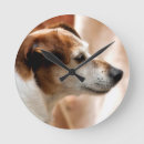 Search for jack russell clocks Terrier