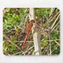 Search for damselfly mousepads Bug