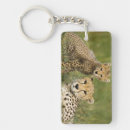 Search for acinonyx key rings Habitat
