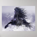 Search for black friesian horse posters Stallion