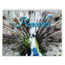 Search for peacock calendars Bird