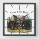 Search for black bear clocks Forest