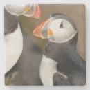 Search for puffin barware Iceland