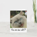 Search for meme birthday cards Cat