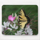 Search for swallowtail butterfly electronics Flower