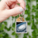 Search for limbs key rings Blue planet