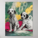 Search for dalmatian art Puppies