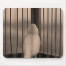 Search for animal rights electronics Pet