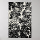 Search for 2018 posters Nature