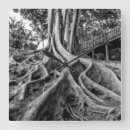 Search for square root posters Landscape