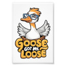 Search for honk if posters Duck