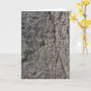 Search for rough surface Stone