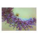 Search for salutations posters Flowers
