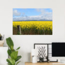 Search for canola posters Flowers