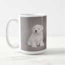 Search for funny maltese dog mugs Cute