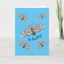 Search for the moth cards Caterpillar