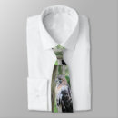 Search for red tails ties Raptor