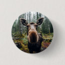 Search for etheric badges Mystical